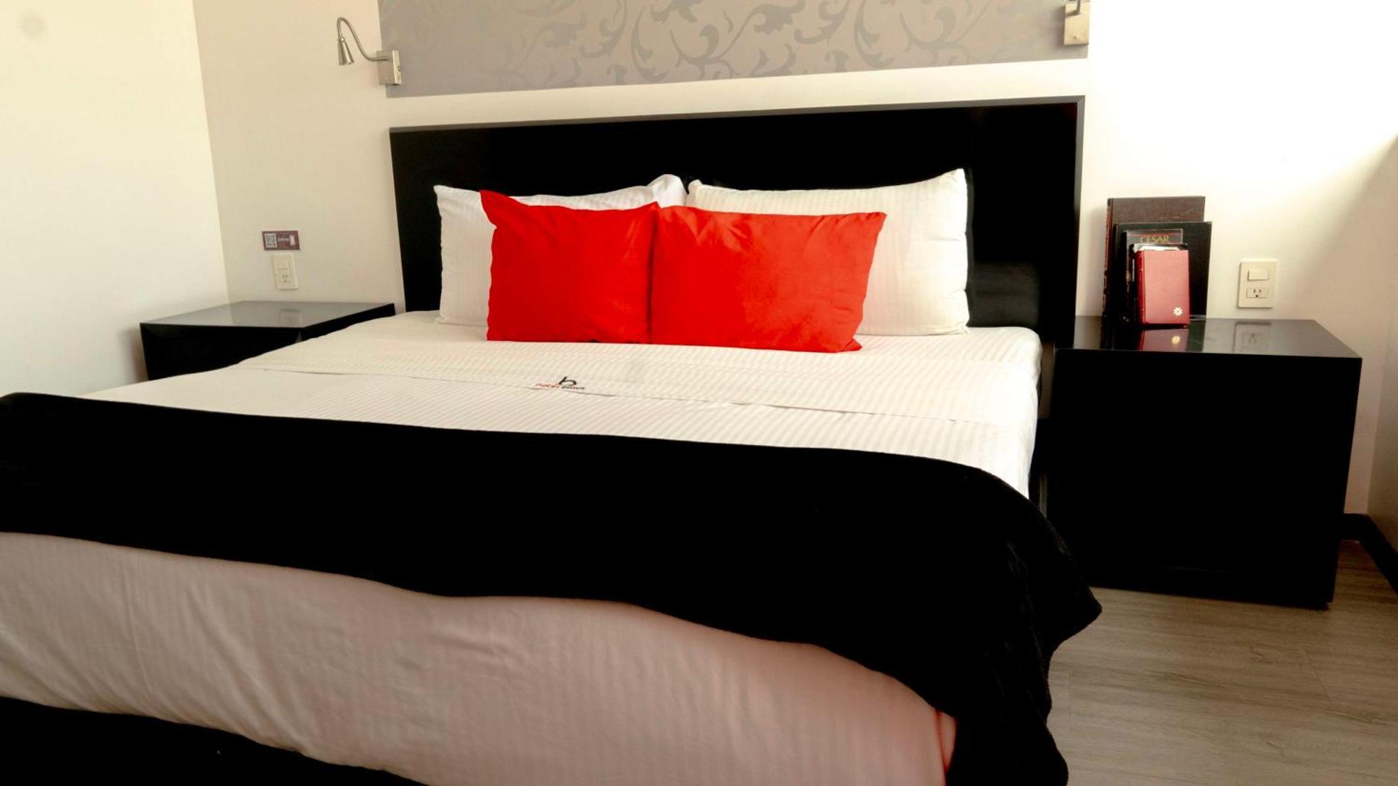 Hotel Black Boutique 墨西哥城 外观 照片
